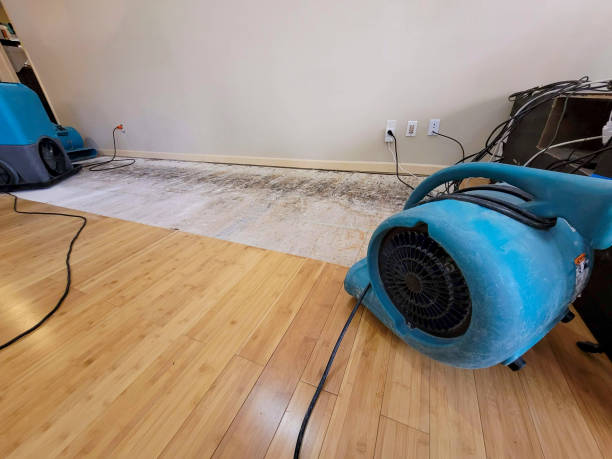 Professional Structural Drying technician working in Bradford, PA